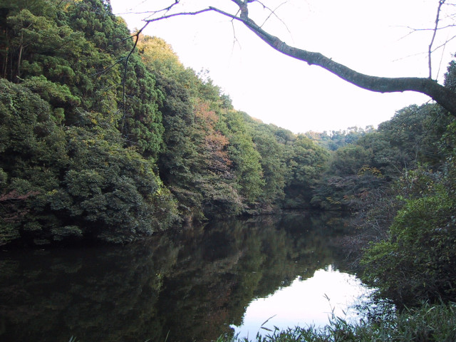 散在ガ池森林公園